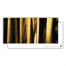 Postcard | Bambus
